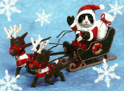 猫サンタの動くクリスマスカード