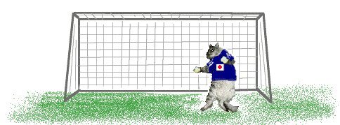 猫サッカー　イラスト素材